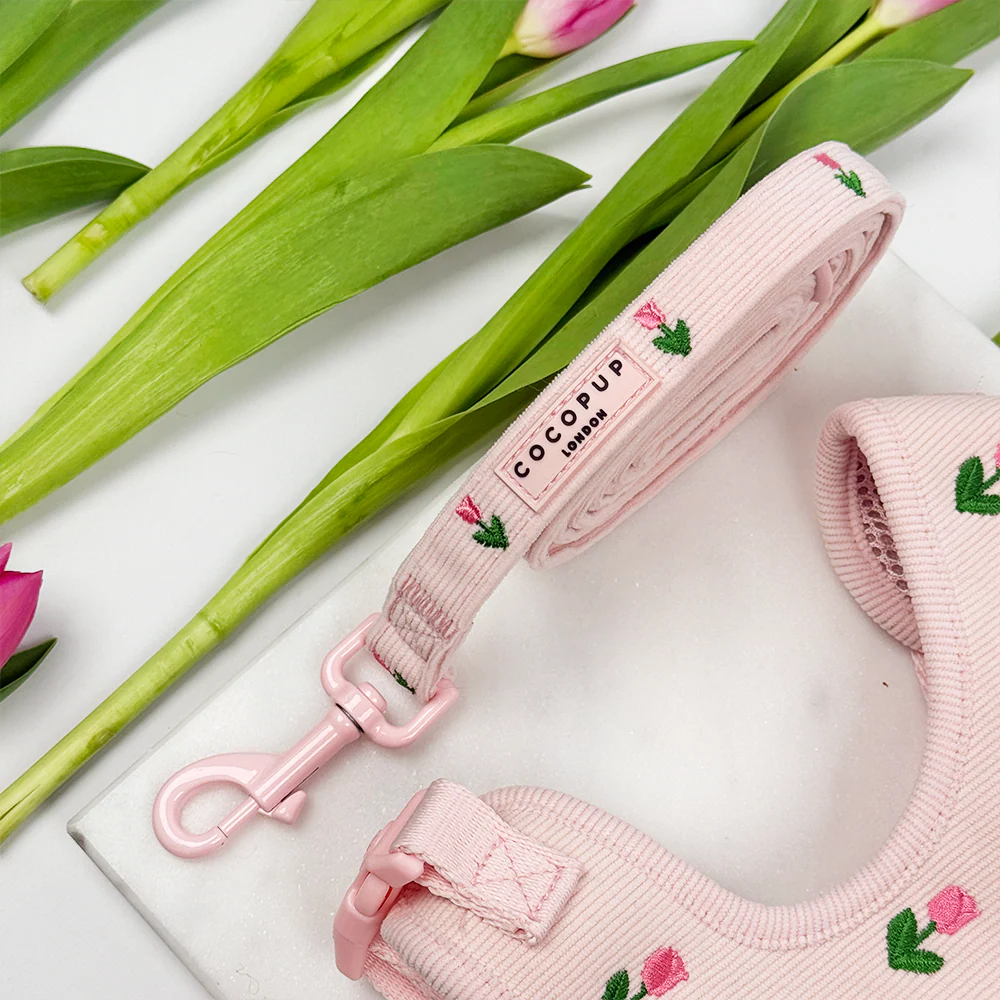 Cocopup London - Tulip Tails Walking Bundle