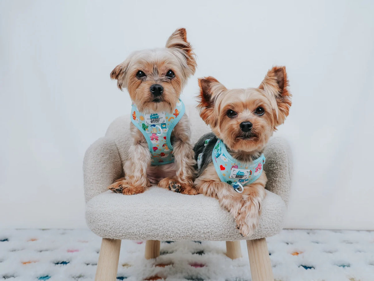 Sassy Woof Dog Adjustable Harness - Care Bears™ Care-A-Lot