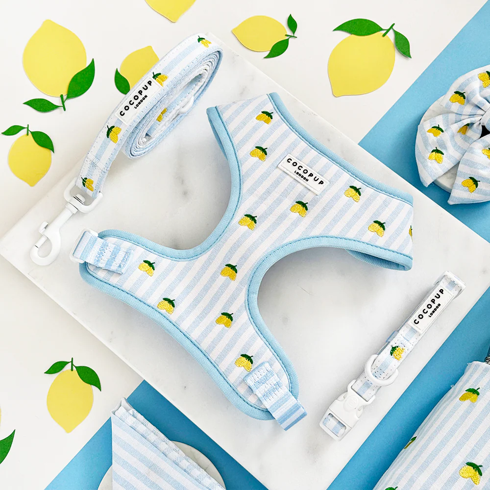 Cocopup London Living La Vida Lemon Adjustable Neck Harness