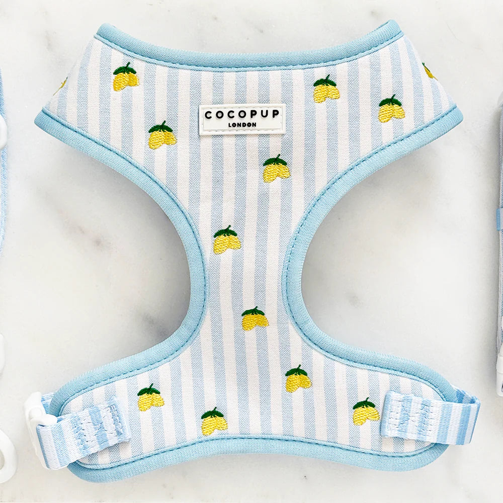 Cocopup London Living La Vida Lemon Adjustable Neck Harness