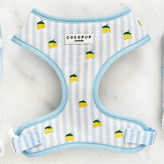 Cocopup London Living La Vida Lemon Adjustable Neck Harness
