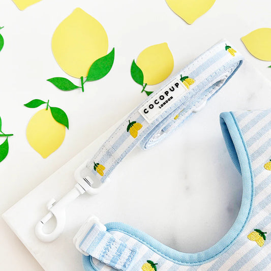 Cocopup London Living La Vida Lemon Lead