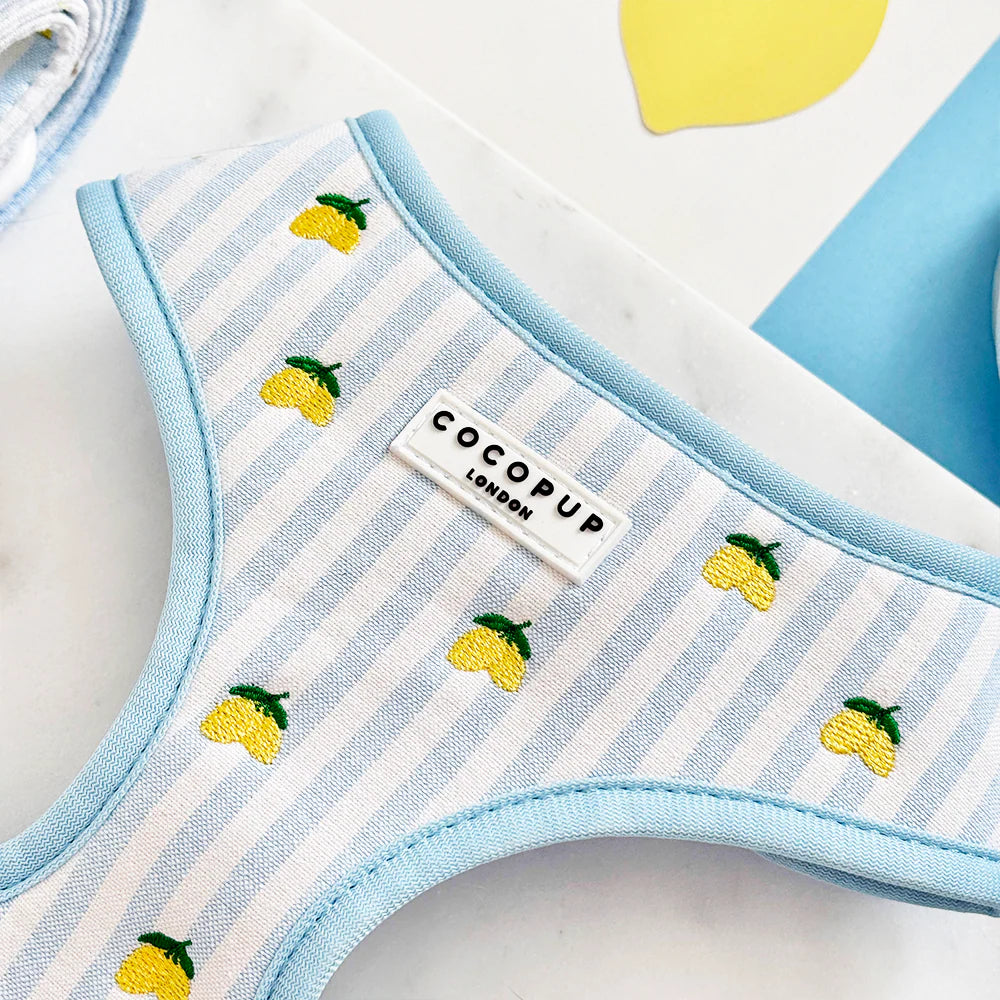 Cocopup London Living La Vida Lemon Adjustable Neck Harness