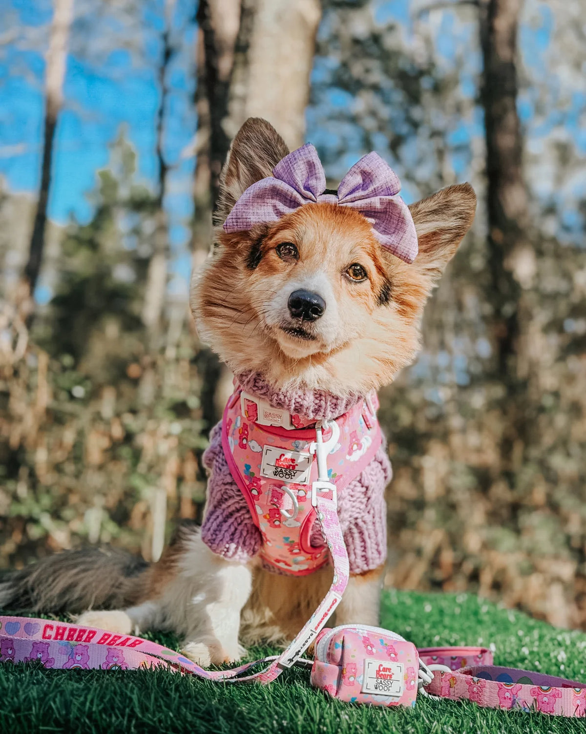 Sassy Woof Dog Adjustable Harness - Care Bears™ Cheer Bear
