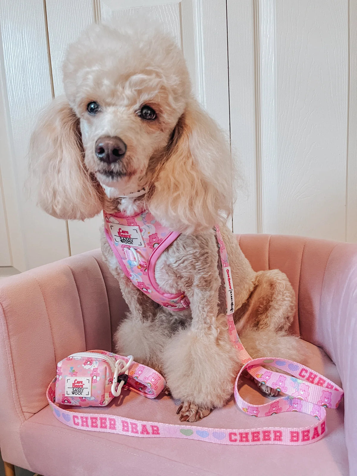 Sassy Woof Dog Adjustable Harness - Care Bears™ Cheer Bear