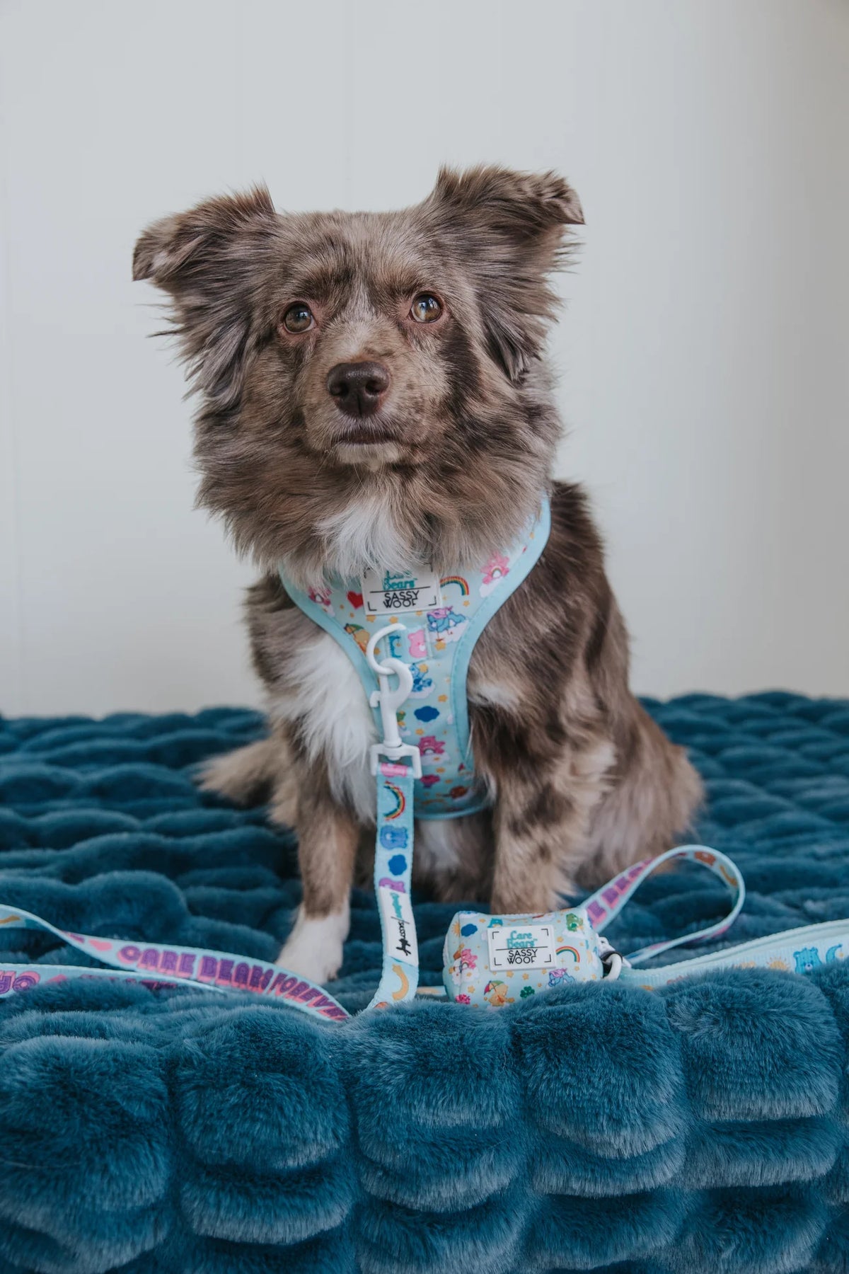 Sassy Woof Dog Waste Bag Holder  - Care Bears™ Care-A-Lot