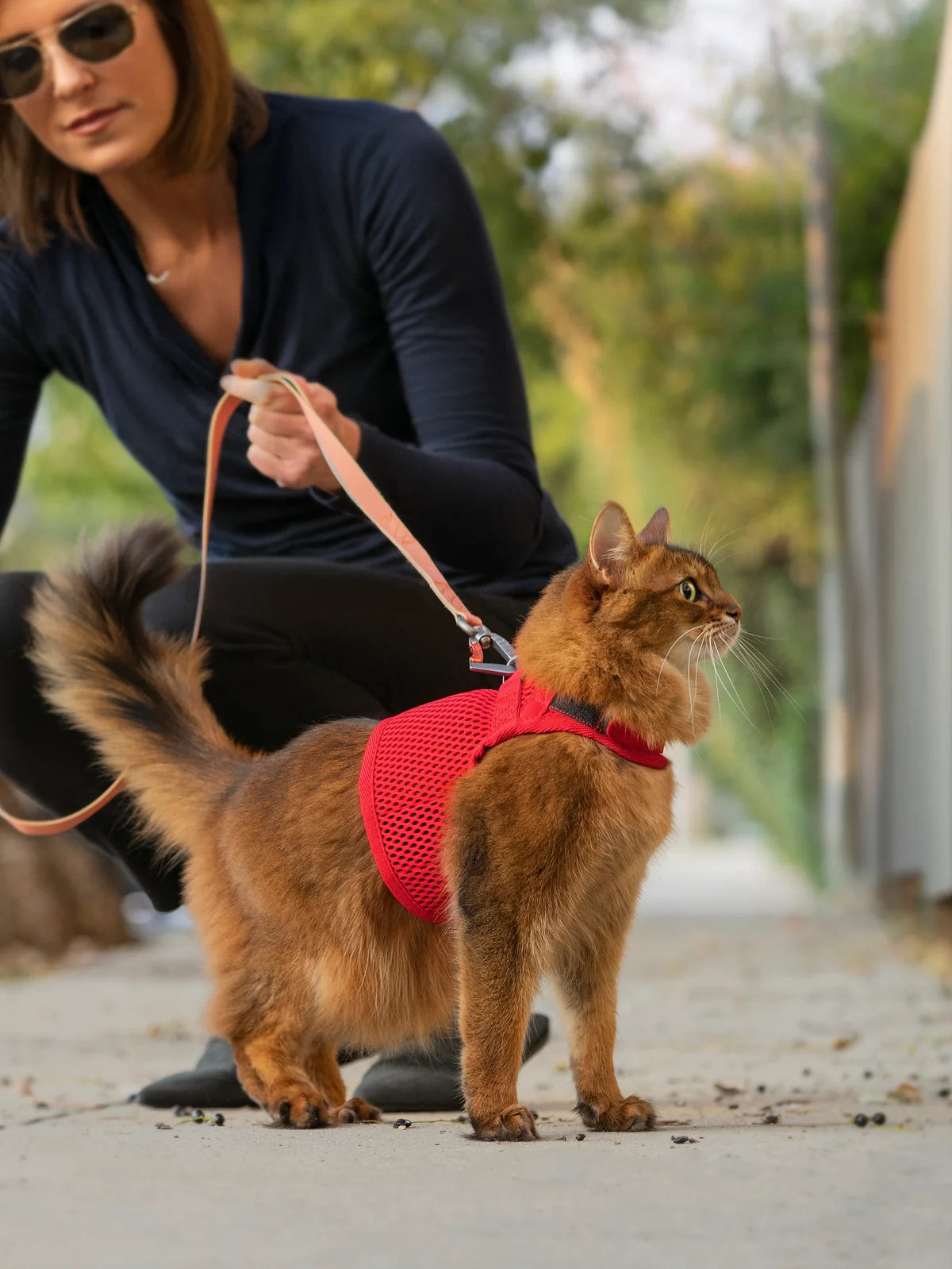 Sleepypod Slim Leash - Pink Peony | Cat & Dog