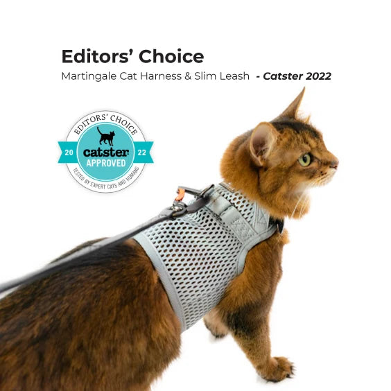 Sleepypod Slim Leash - Pink Peony | Cat & Dog