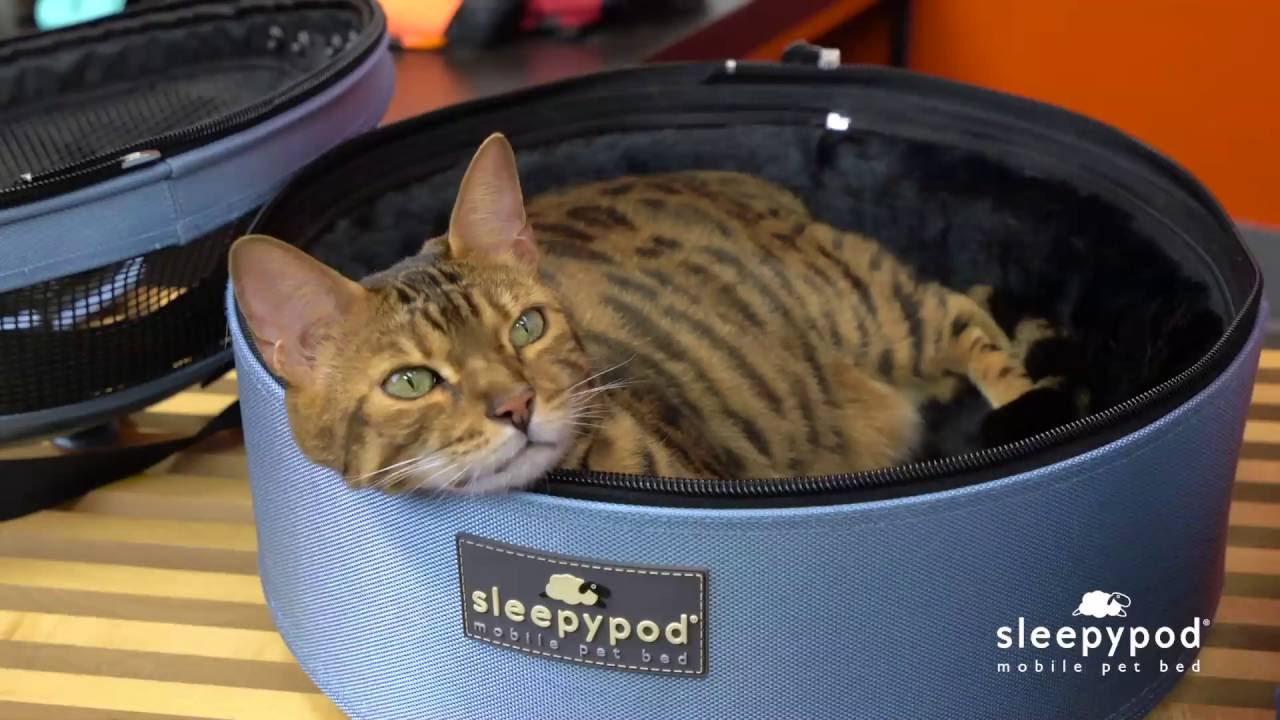 Sleepypod Mobile Pet Bed - Sky Blue