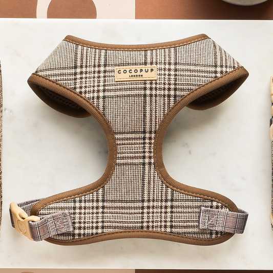 Cocopup London Pup Plaid Adjustable Neck Harness