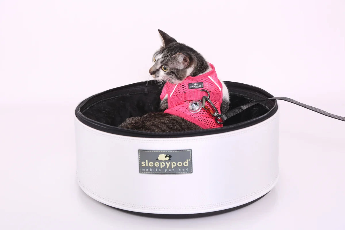 Sleepypod Slim Leash - Pink Peony | Cat & Dog
