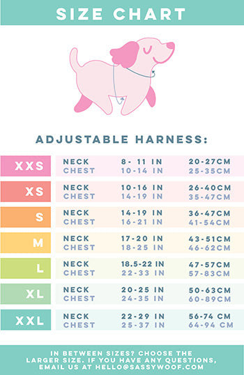 Sassy Woof Dog Adjustable Harness - Care Bears™ Cheer Bear