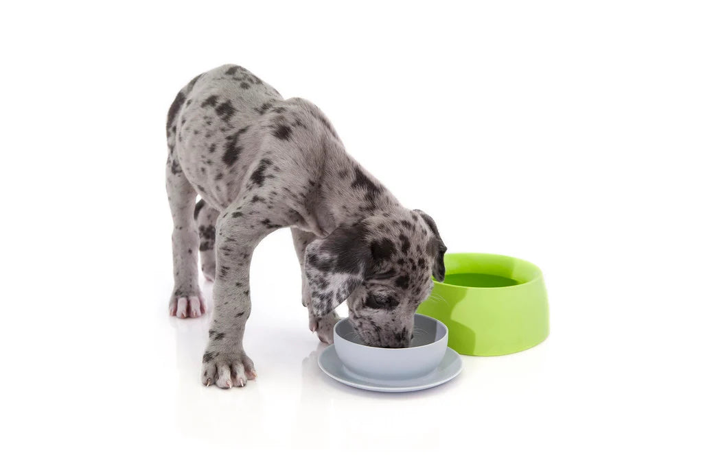 Sleepypod Travel Bowls