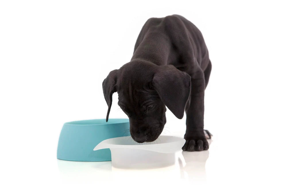 Sleepypod Travel Bowls