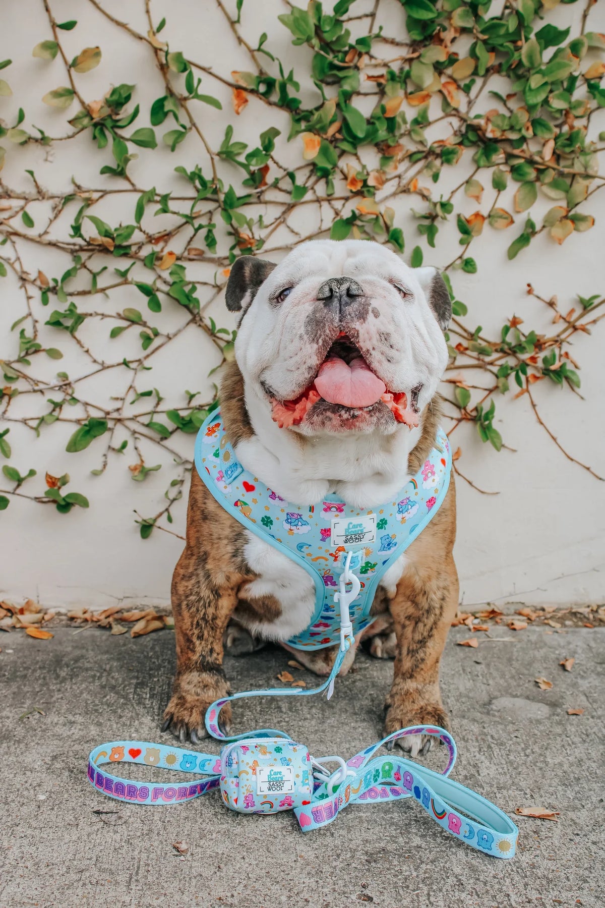 Sassy Woof Dog Adjustable Harness - Care Bears™ Care-A-Lot